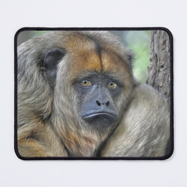Item preview, Howler Monkey designed and sold by Savannah Gibbs.
