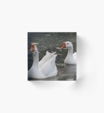 following Acrylic Block