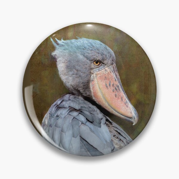Item preview, Big Bird  designed and sold by Savannah Gibbs.