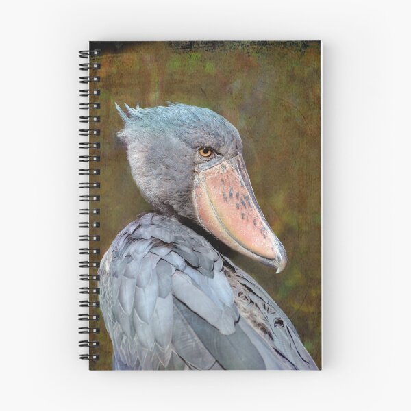 Item preview, Big Bird  designed and sold by Savannah Gibbs.