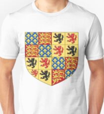 Hainault coat of arms, Coat of arms, arms, crest, blazon, cognizance, childrensfun, purim, costume Unisex T-Shirt