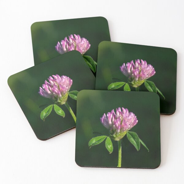 Item preview, Red Clover designed and sold by ZachCaraway.