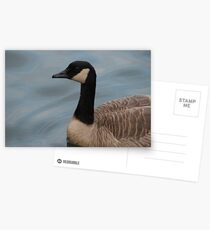 surreal Postcards