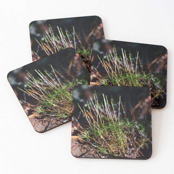 Item preview, Forest Growth designed and sold by ZachCaraway.