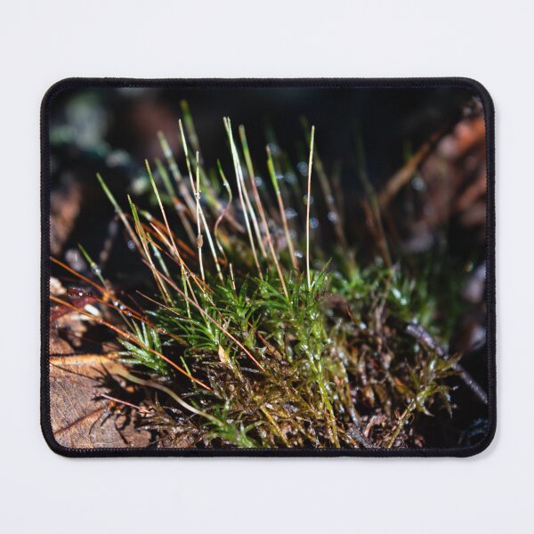 Item preview, Forest Growth designed and sold by ZachCaraway.
