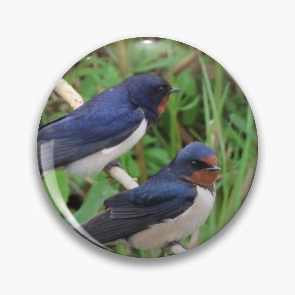 Item preview, Two barn swallow designed and sold by Jolande.