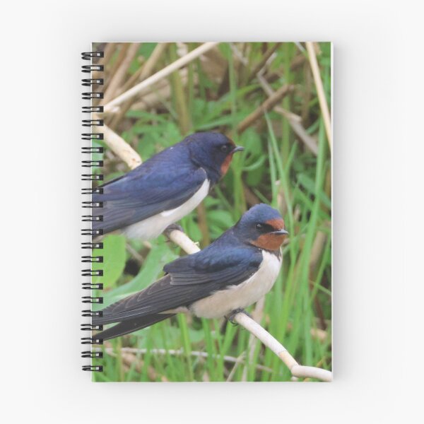 Item preview, Two barn swallow designed and sold by Jolande.