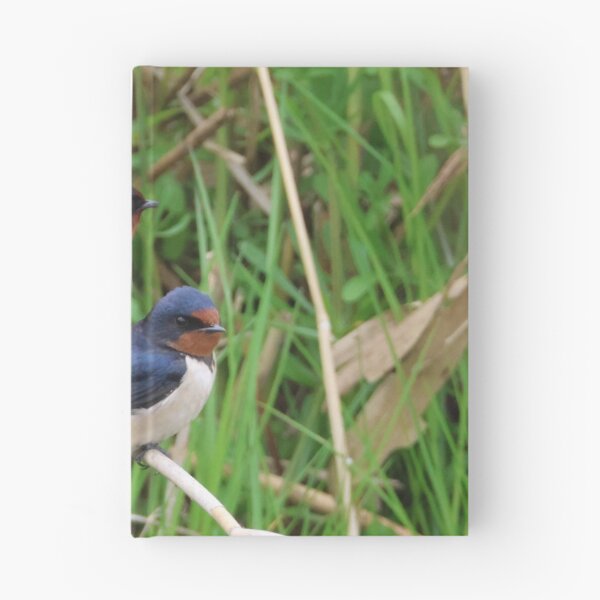 Item preview, Two barn swallow designed and sold by Jolande.