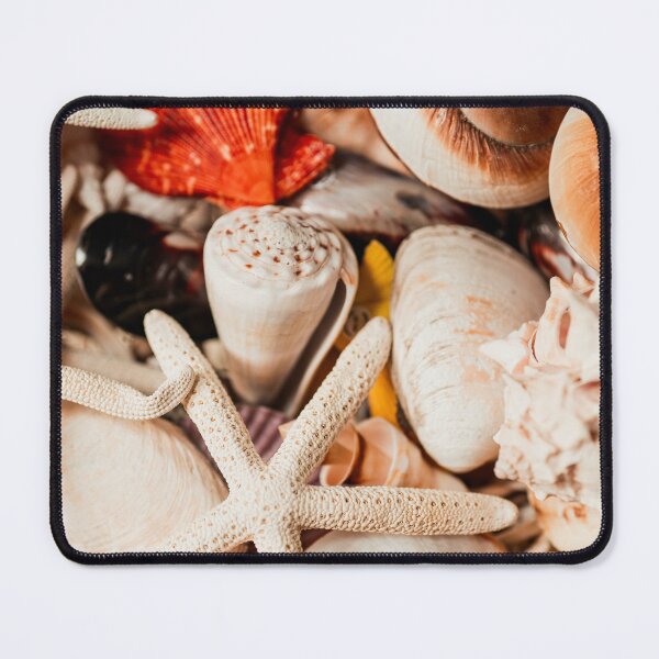 Item preview, Sea shells designed and sold by Sonofwilliam.