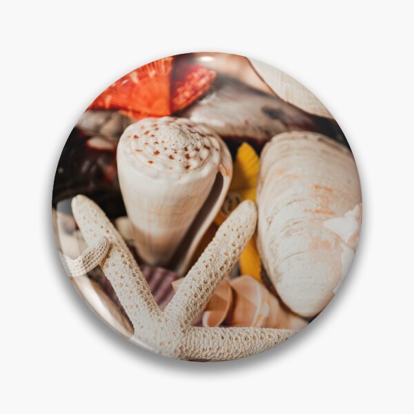 Item preview, Sea shells designed and sold by Sonofwilliam.