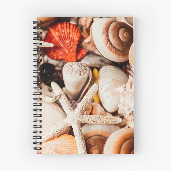 Item preview, Sea shells designed and sold by Sonofwilliam.
