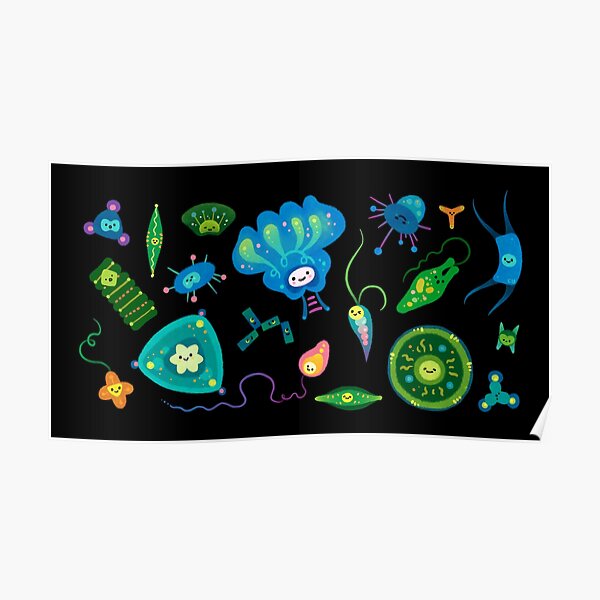 Phytoplankton Poster