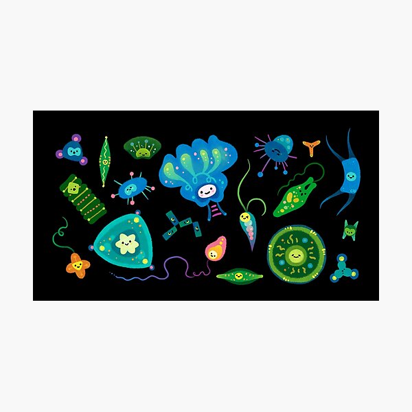 Item preview, Phytoplankton designed and sold by pikaole.