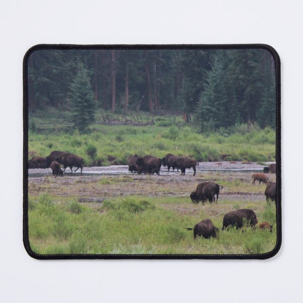 Item preview, Bison on the Move designed and sold by ArbitraryGinger.