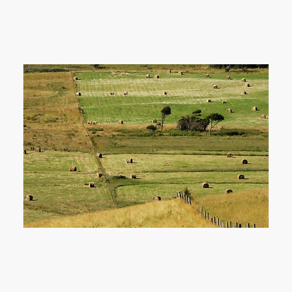 Item preview, Pastoral designed and sold by Harry Oldmeadow.