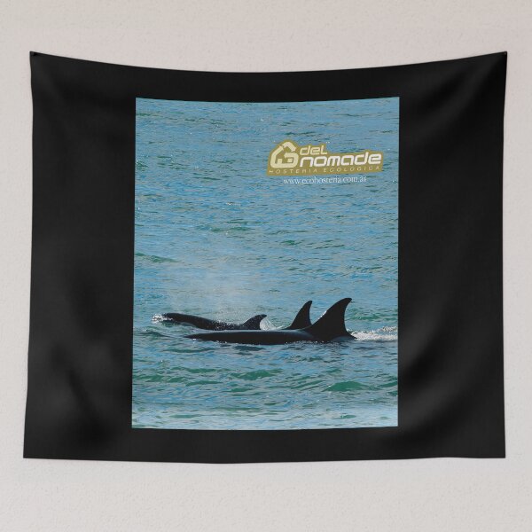 Item preview, Orcas from Peninsula Valdes 	 designed and sold by mhjconnl13.