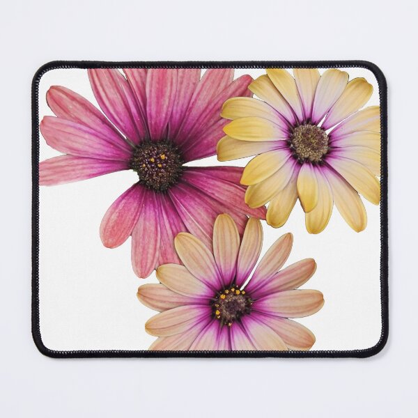 Item preview, Gerber Daisy designed and sold by Kim.Buck.Too.