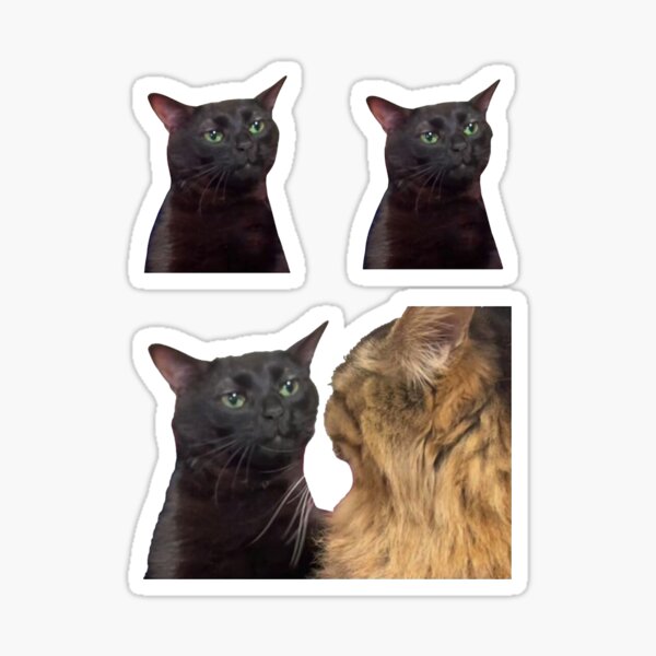 Item preview, Zoned Out Cat, Black cat zoned out, Zoned Out Cat meme designed and sold by raspeed.
