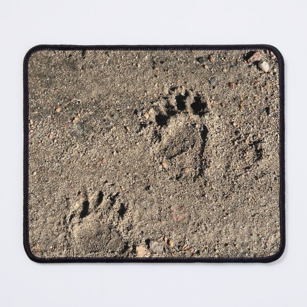 Item preview, Feet designed and sold by Nvision.