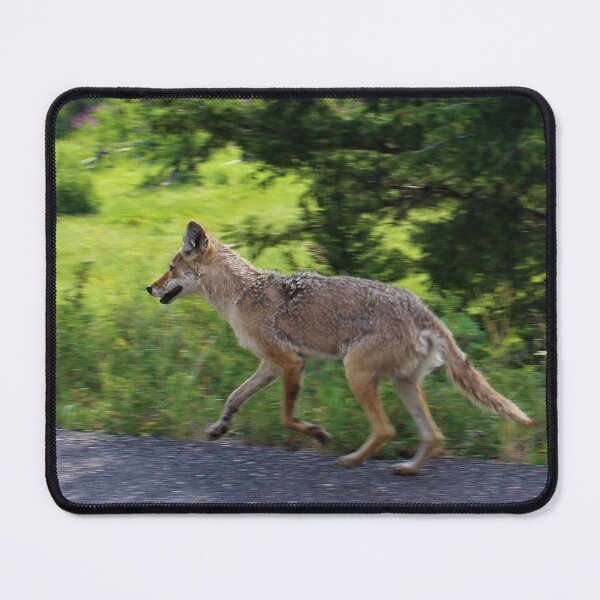 Item preview, Running Coyote designed and sold by ArbitraryGinger.