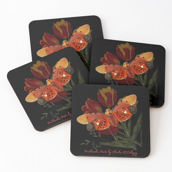 Item preview, Penthicodes Picta by Charles D'Orbigny designed and sold by smirey designs.