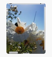 Fried Eggs iPad Case/Skin