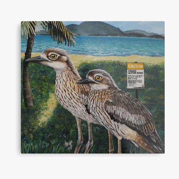 Townsvilles Curlews Metal Print