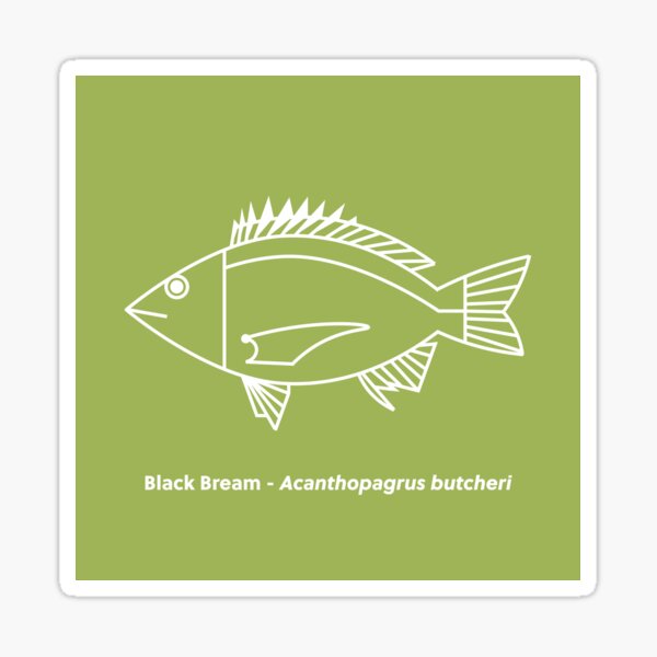 Bream fans, we have just added the Bream Decals to our large range