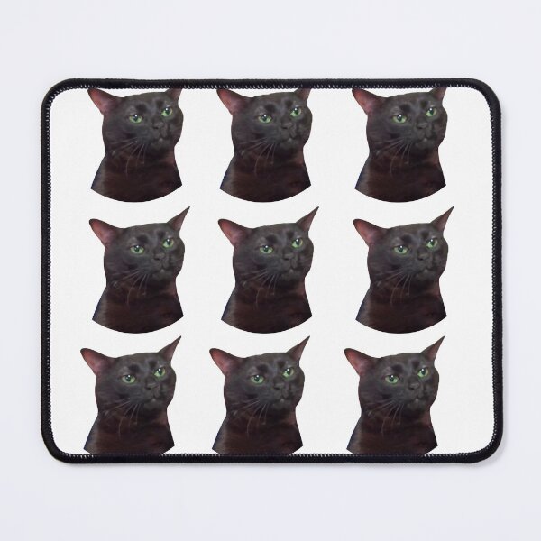 Item preview, Zoned Out Cat, Black cat zoned out, Zoned Out Cat meme designed and sold by raspeed.