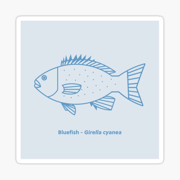 Snapper Bluefish Illustration | Backpack