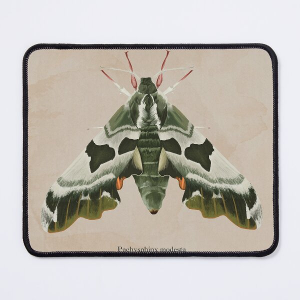 Item preview, Modest Sphinx designed and sold by Arrow Krueger.