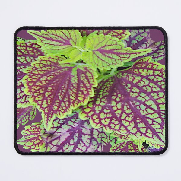 Item preview, Lush Leaves ~  designed and sold by Jeanine King.