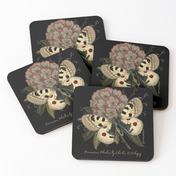 Item preview, Parnassius Phoebus by Charles D'Orbigny designed and sold by smirey designs.