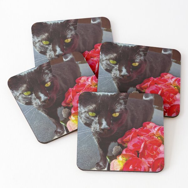 Item preview, Black Cat Pink Flowers designed and sold by ArbitraryGinger.