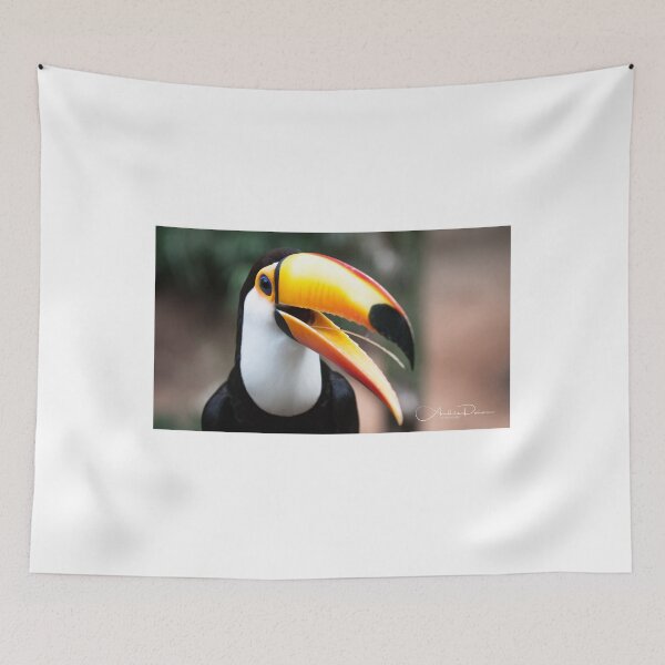 Item preview, Smiling Tucan designed and sold by JAPhoto.