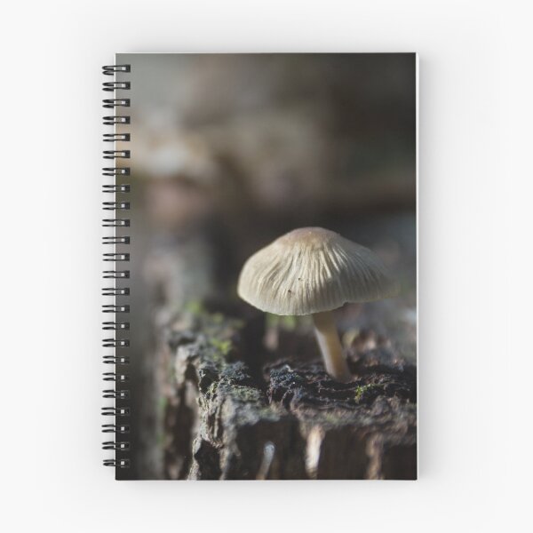 Item preview, Poisonous mushrooms in the autumn forest designed and sold by Olimpia Negura.