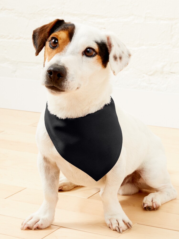 Baltimore Orioles Dog Bandana