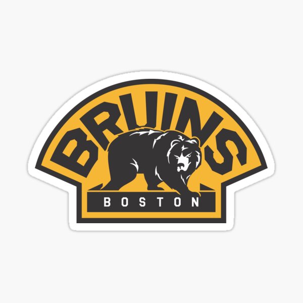 A brown bear with the 1929 Boston Bruins jersey.  Boston bruins, Bruins  hockey, Boston bruins logo