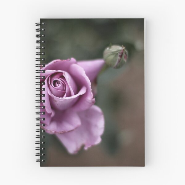 Artikelvorschau, Die schöne Rose entworfen und verkauft von PaintedWillow.