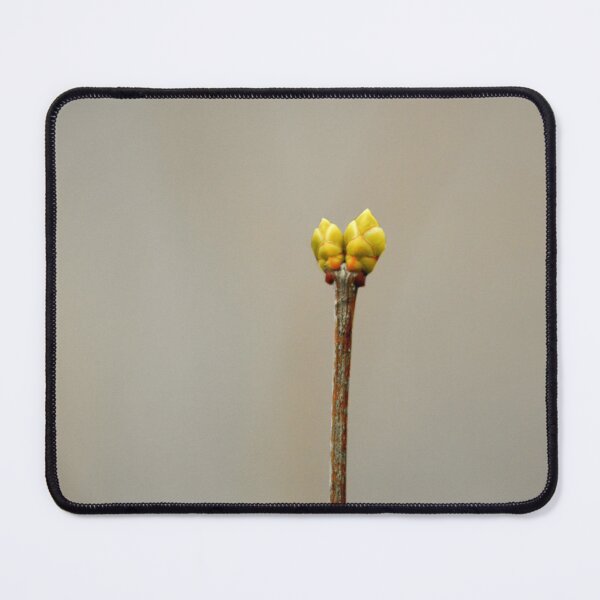 Item preview, Lilac Buds in Winter designed and sold by Laurie Minor.