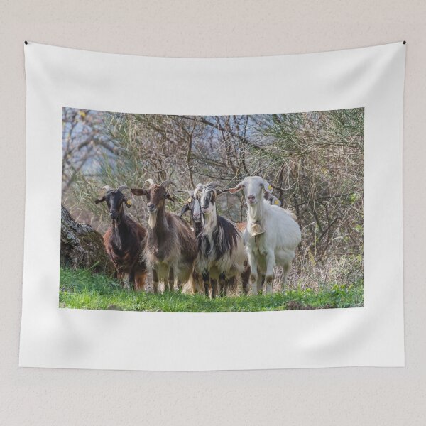 Item preview, Goats of Roscigno Vechio Cilento Italy  designed and sold by Jon Shore.