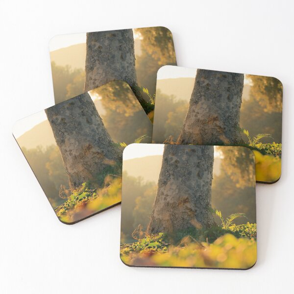 Item preview, Autumn in the Woods designed and sold by johndevecka.