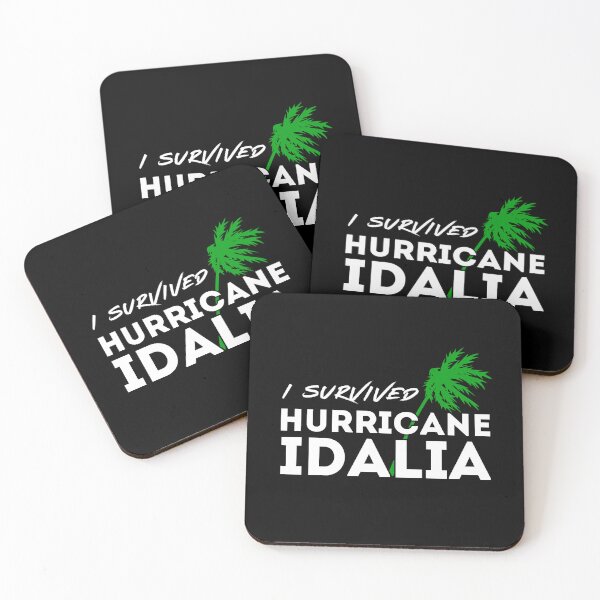 Item preview, I Survived Hurricane Idalia - Hurricane Season 2023 designed and sold by Simple429.