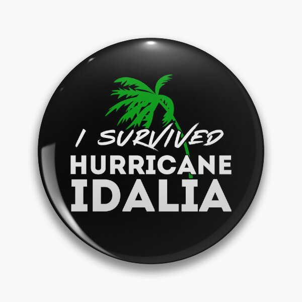 Item preview, I Survived Hurricane Idalia designed and sold by Simple429.