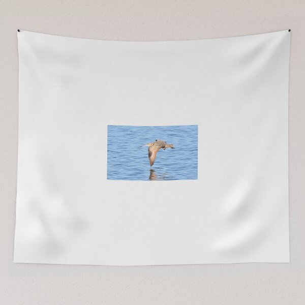 Item preview, Marbled Godwit flying over the bay designed and sold by Eleu Tabares.