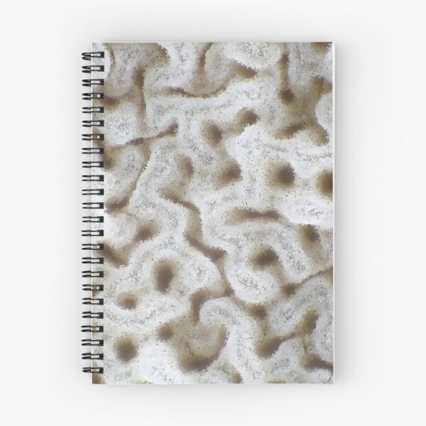 Item preview, Light micrograph of bolete mushroom pores, field of view is about 3mm wide designed and sold by SDym Photography.