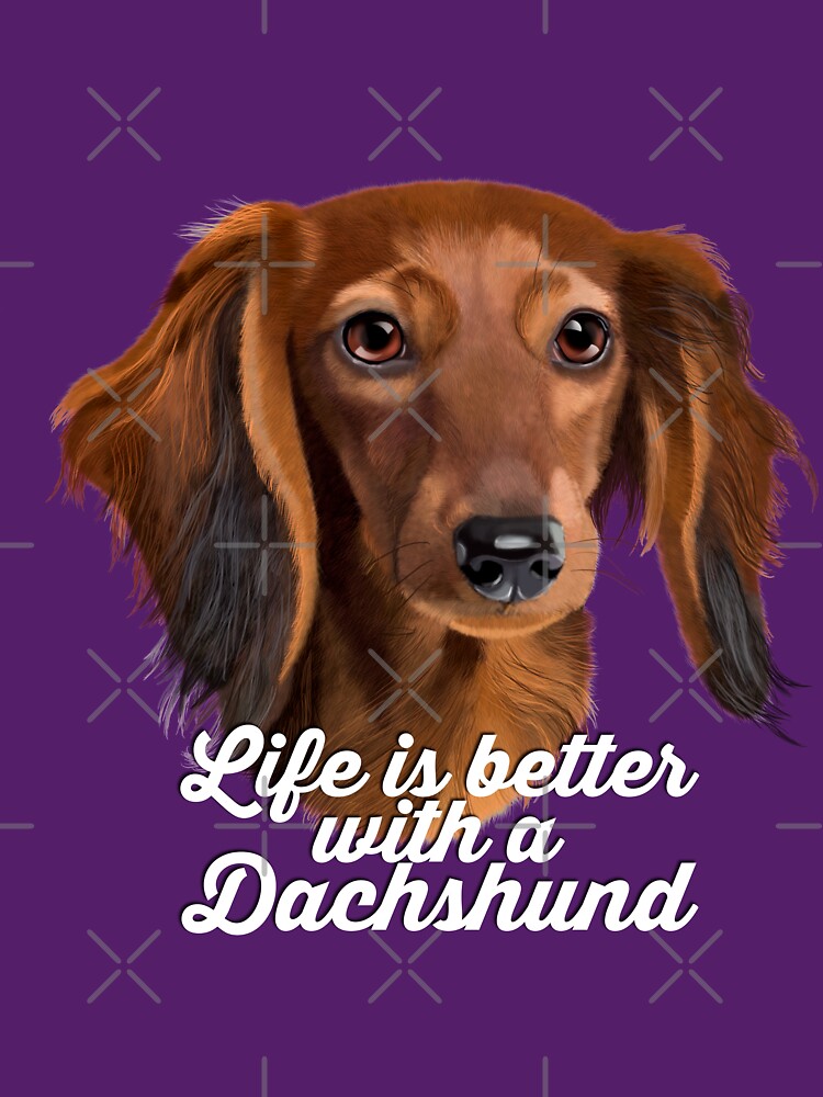 Dachshund Painting Long Haired Dachshund Life Is Better With A