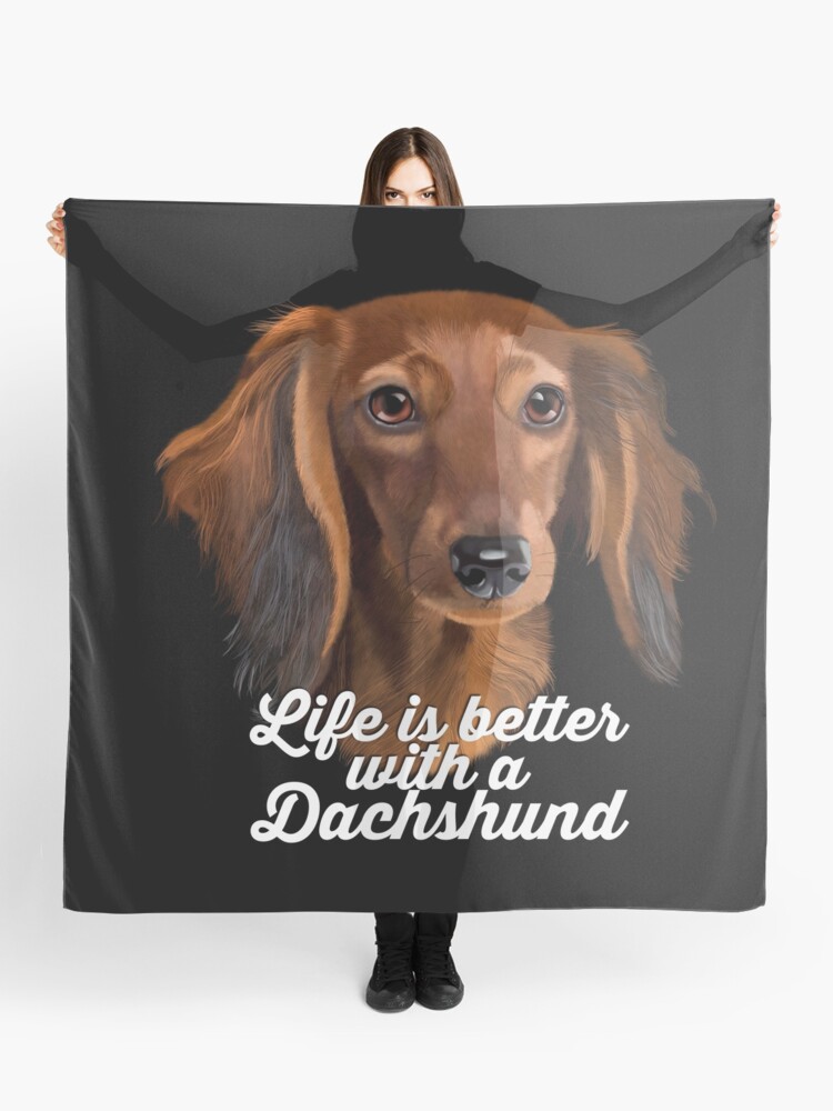 Dachshund Painting Long Haired Dachshund Life Is Better With A
