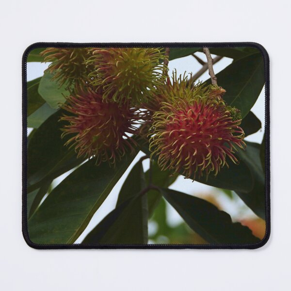 Item preview, Red Ripe Rambutan designed and sold by mrtraz.