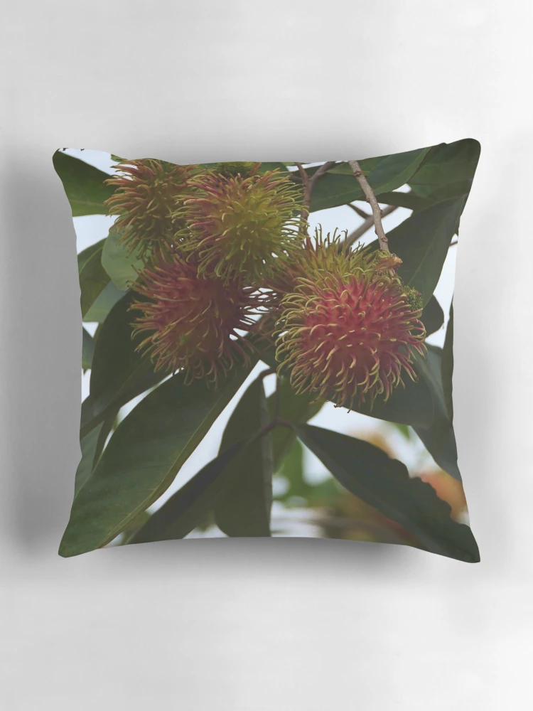 Thumbnail 3 of 4, Pillow, Red Ripe Rambutan designed and sold by mrtraz.